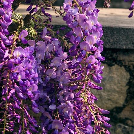 Il Glicine B&B Ristorante Cazzago San Martino Luaran gambar