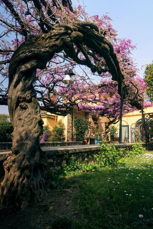 Il Glicine B&B Ristorante Cazzago San Martino Luaran gambar